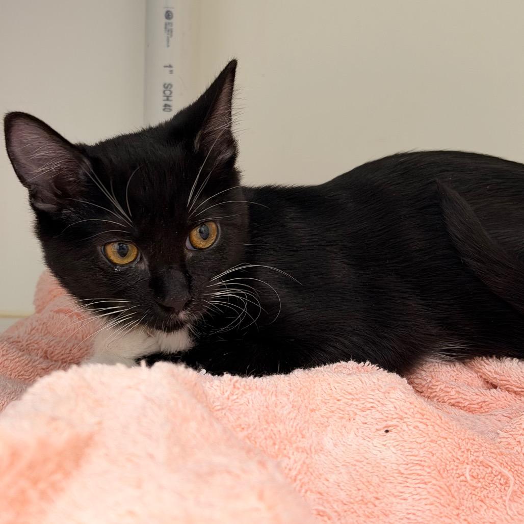 Sneakers — thumbnail 3