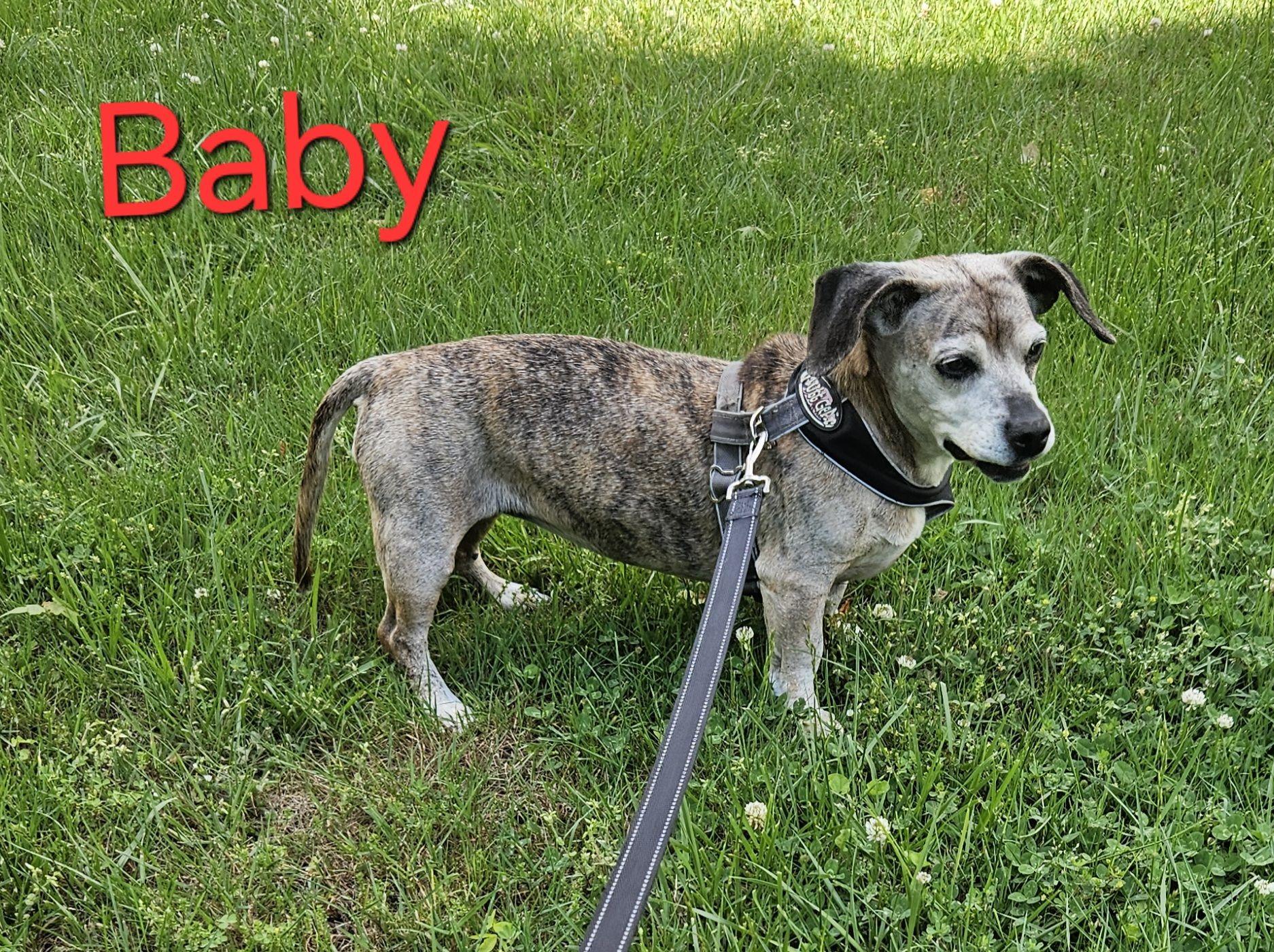 Baby photo 1