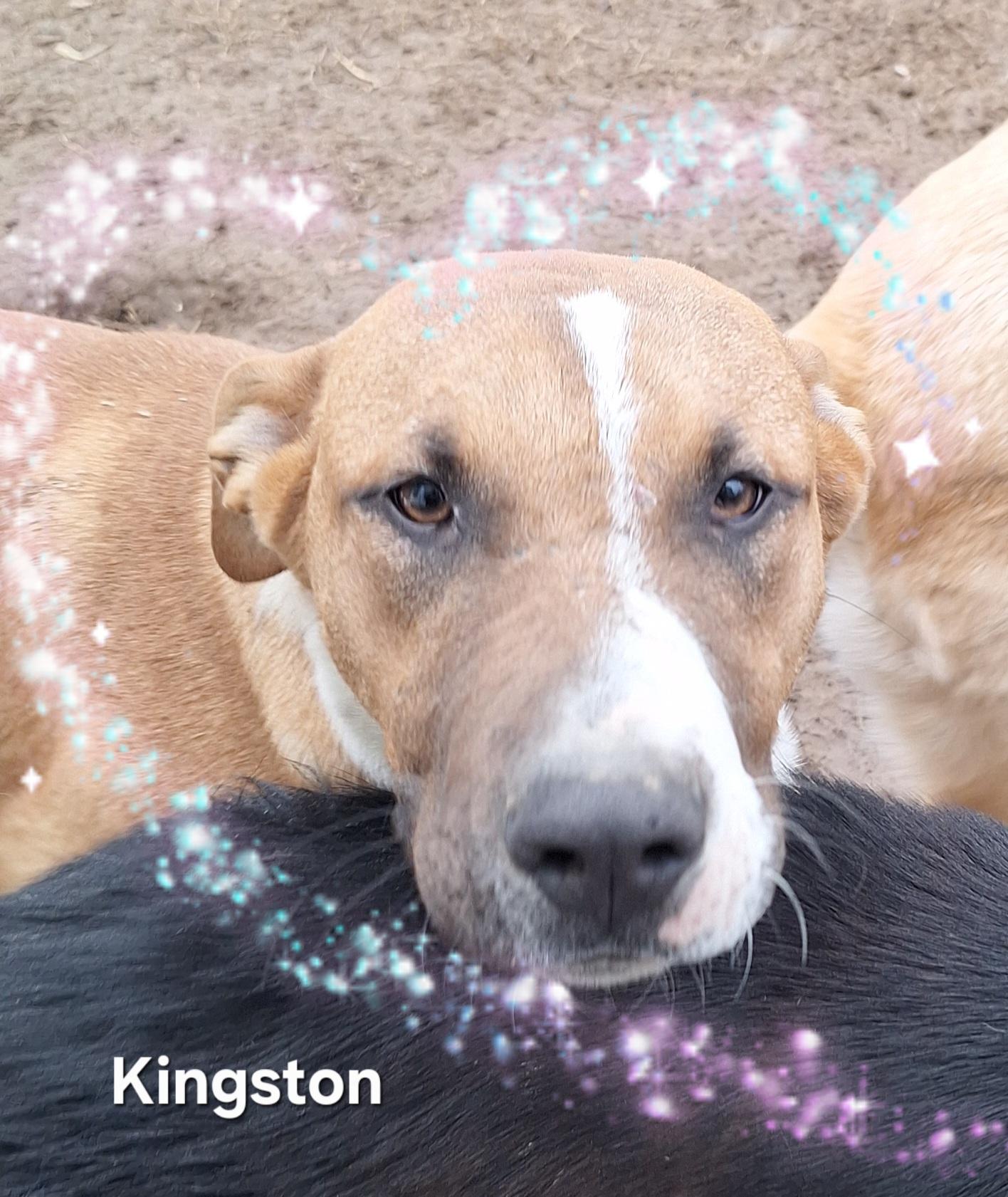 Kingston in MA photo 3