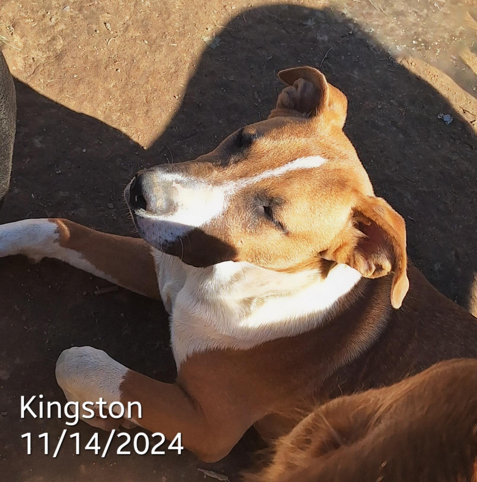 Kingston in MA photo 2