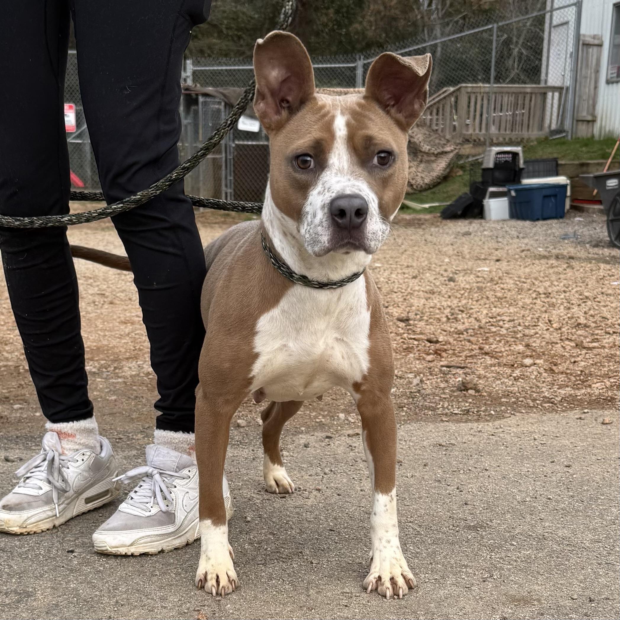 Bridget — thumbnail 2