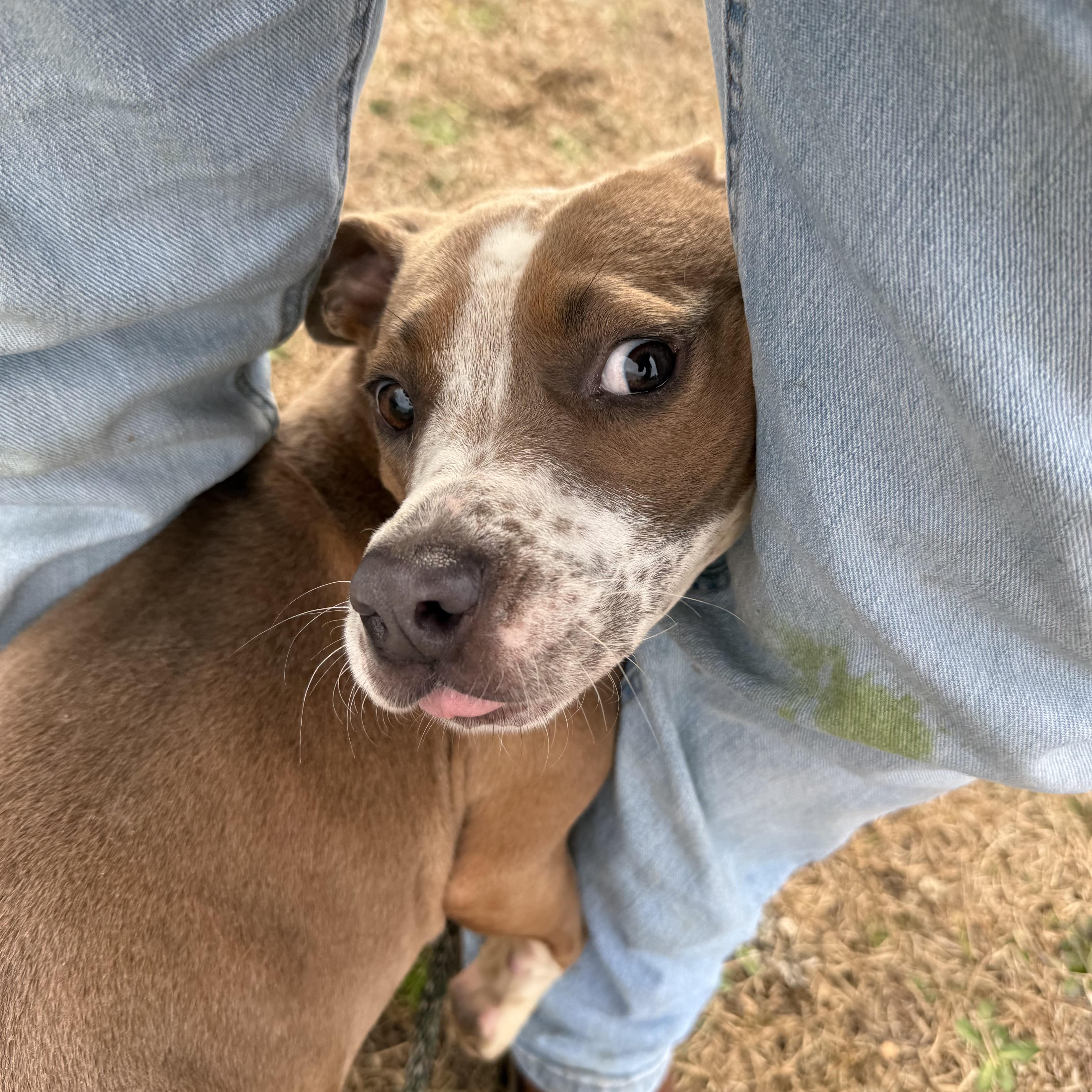 Bridget — thumbnail 3