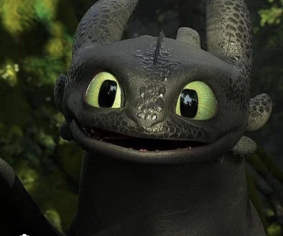 Enlarge Stella!, an adopted Domestic Short Hair in Gig Harbor, WA image 5/6