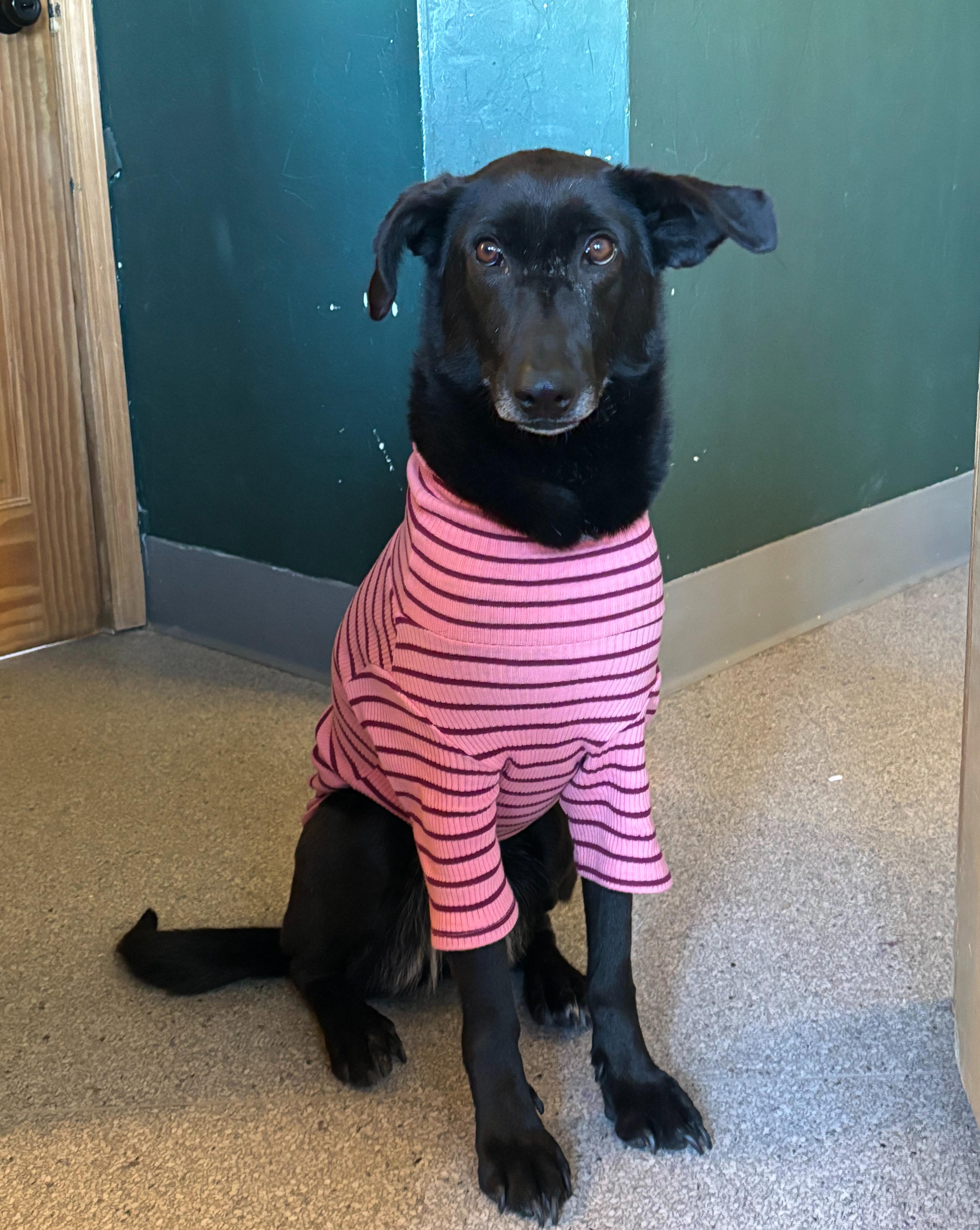 Tala And Sunbul thumbnail 4