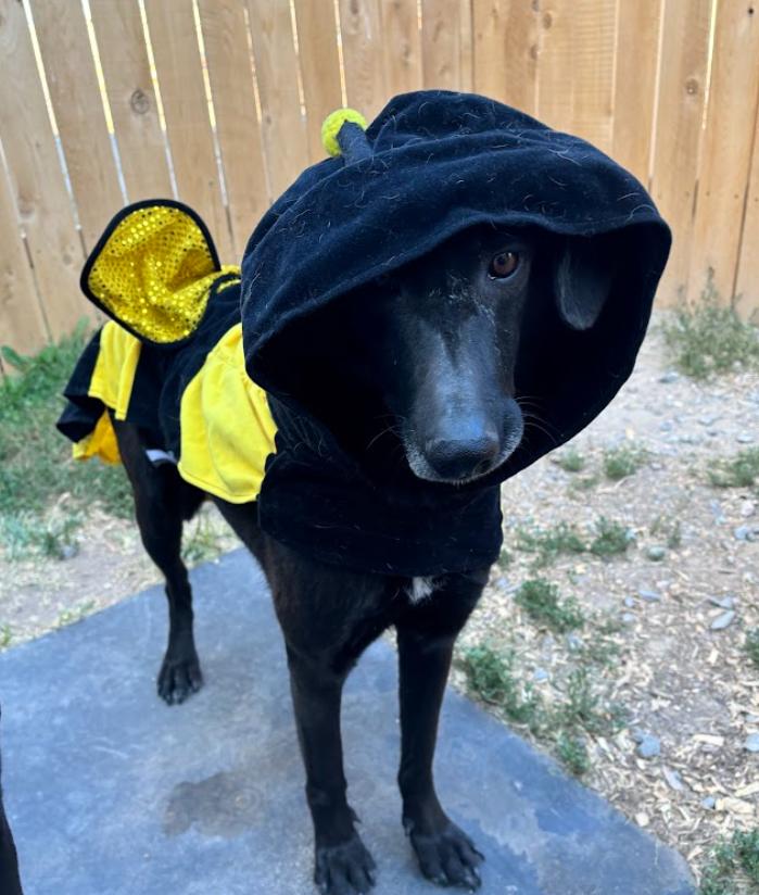 Tala And Sunbul thumbnail 3