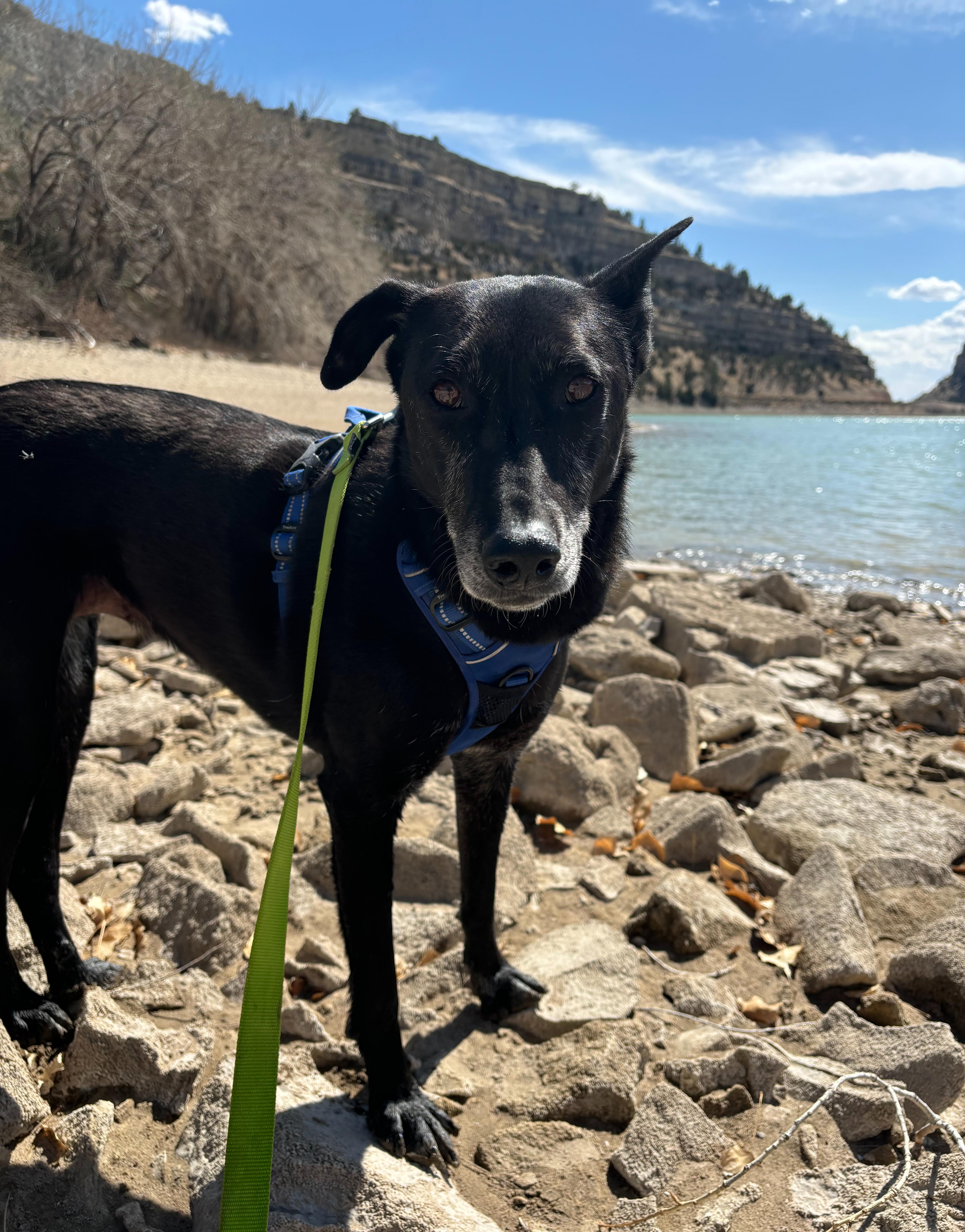 Tala And Sunbul thumbnail 5