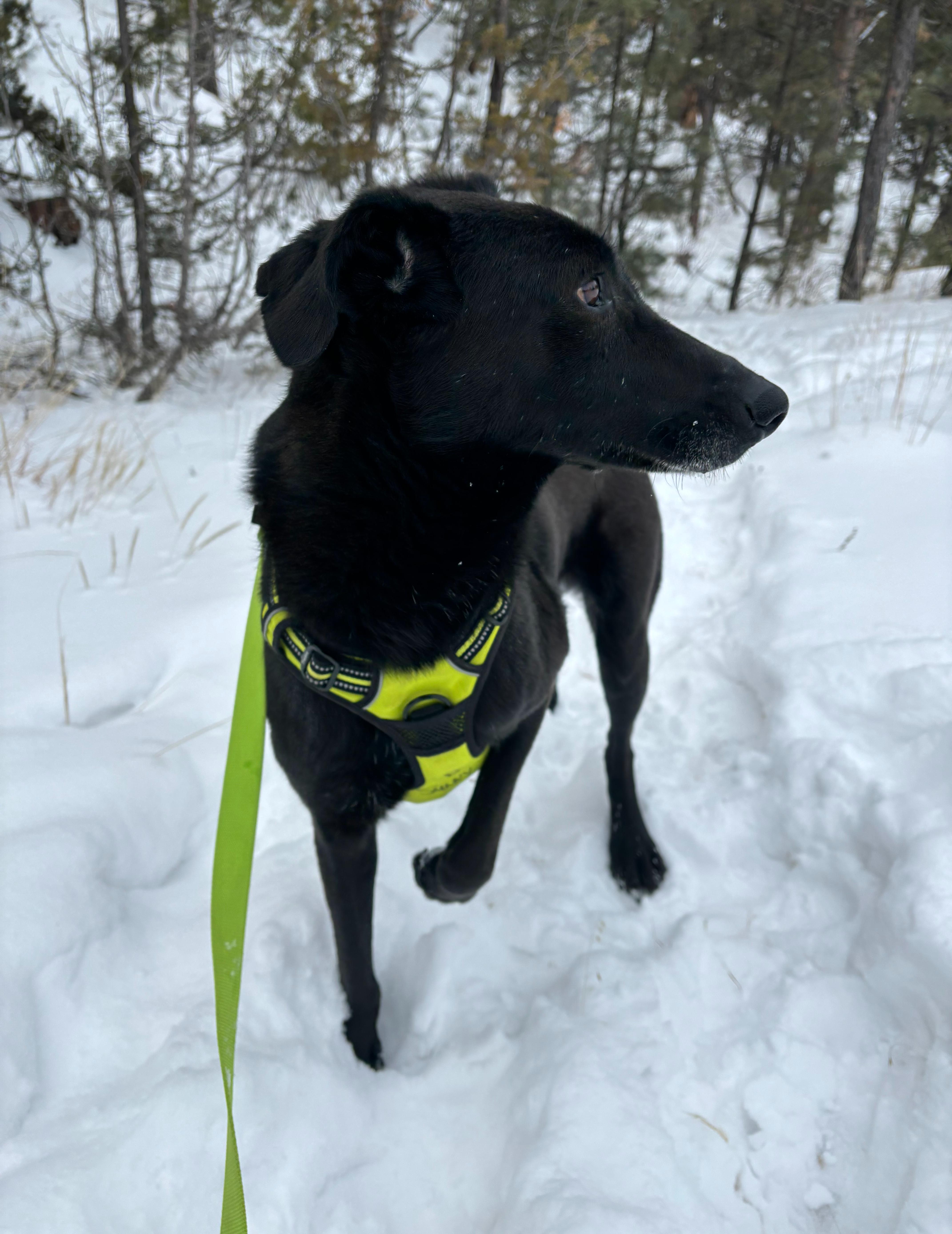 Tala And Sunbul thumbnail 6