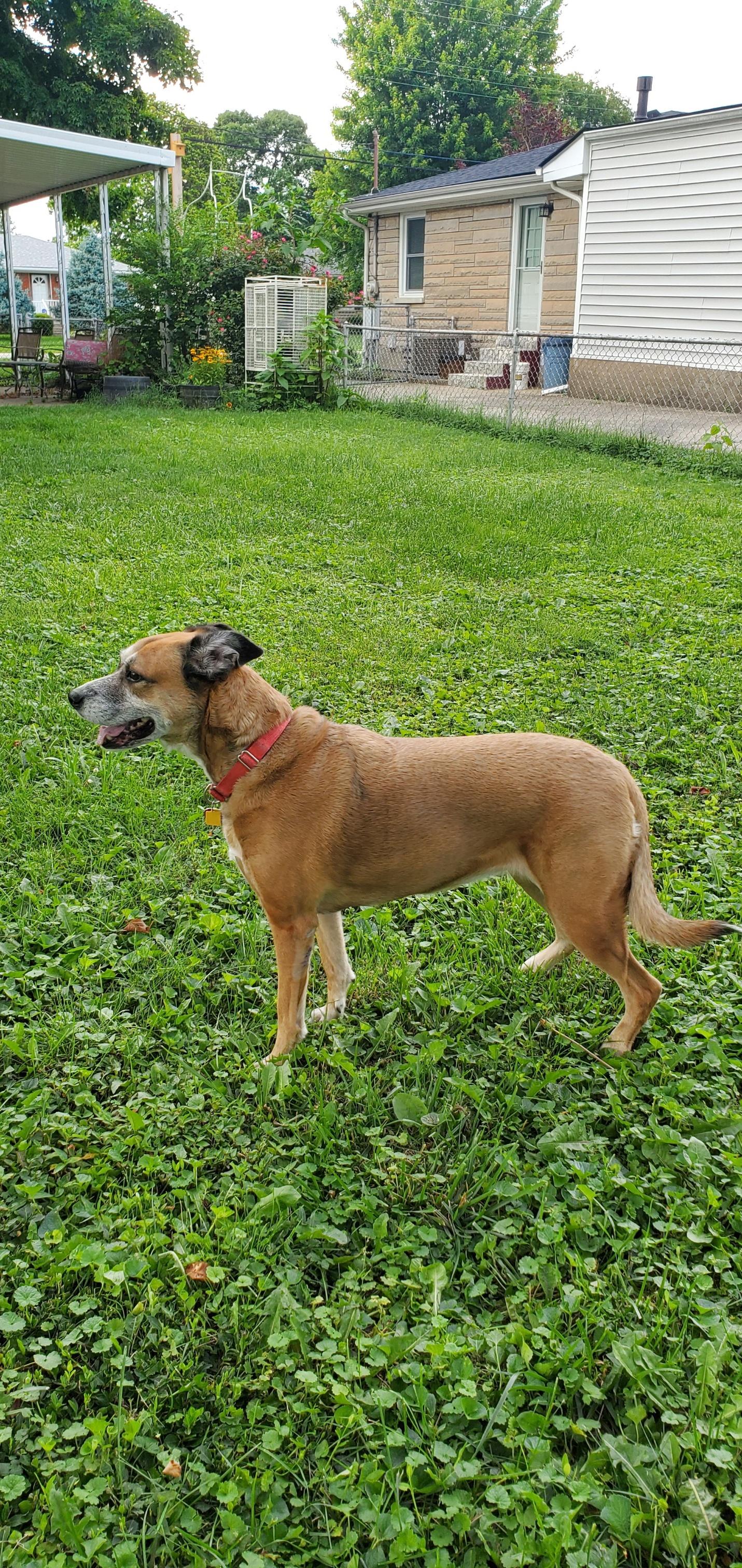 Lexie