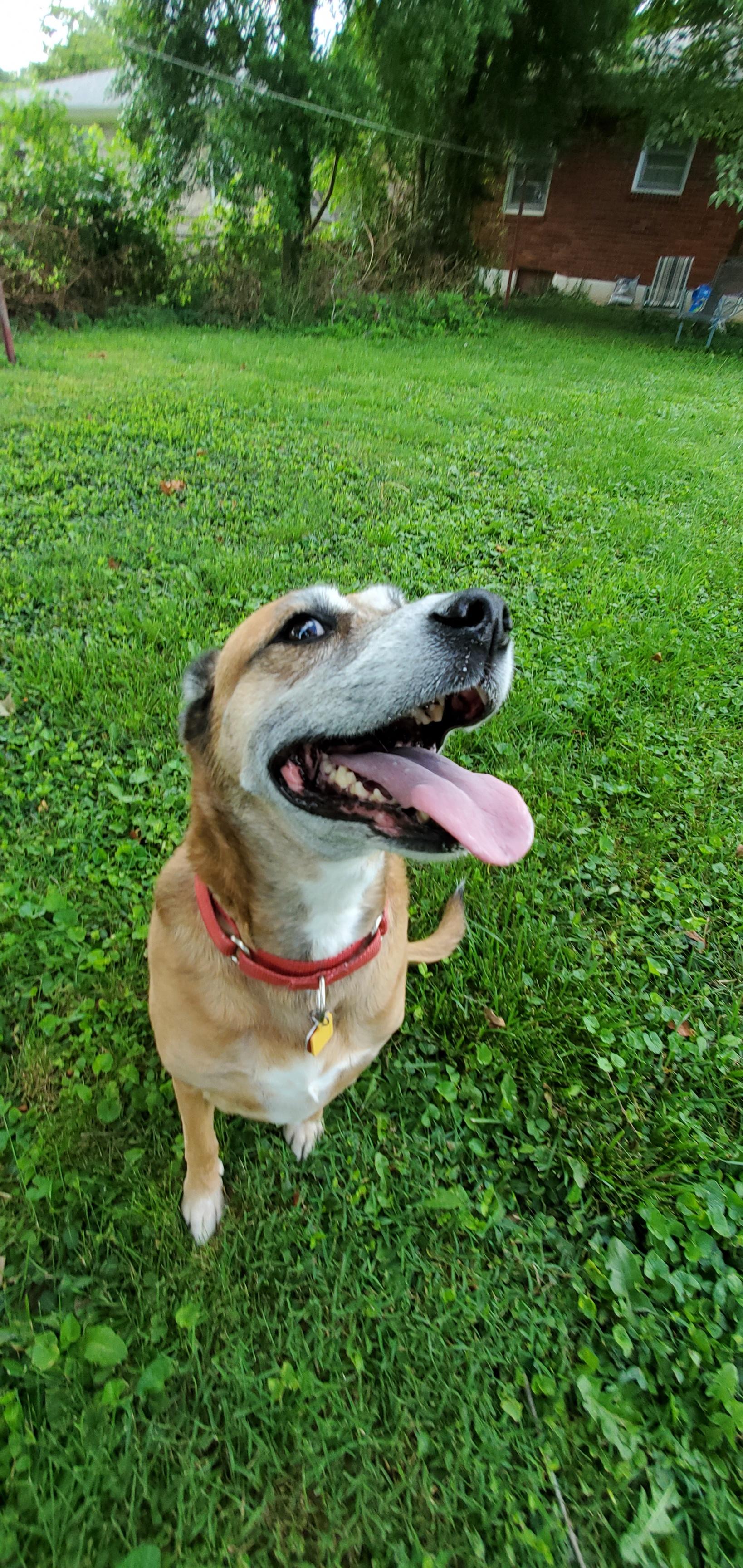 Lexie