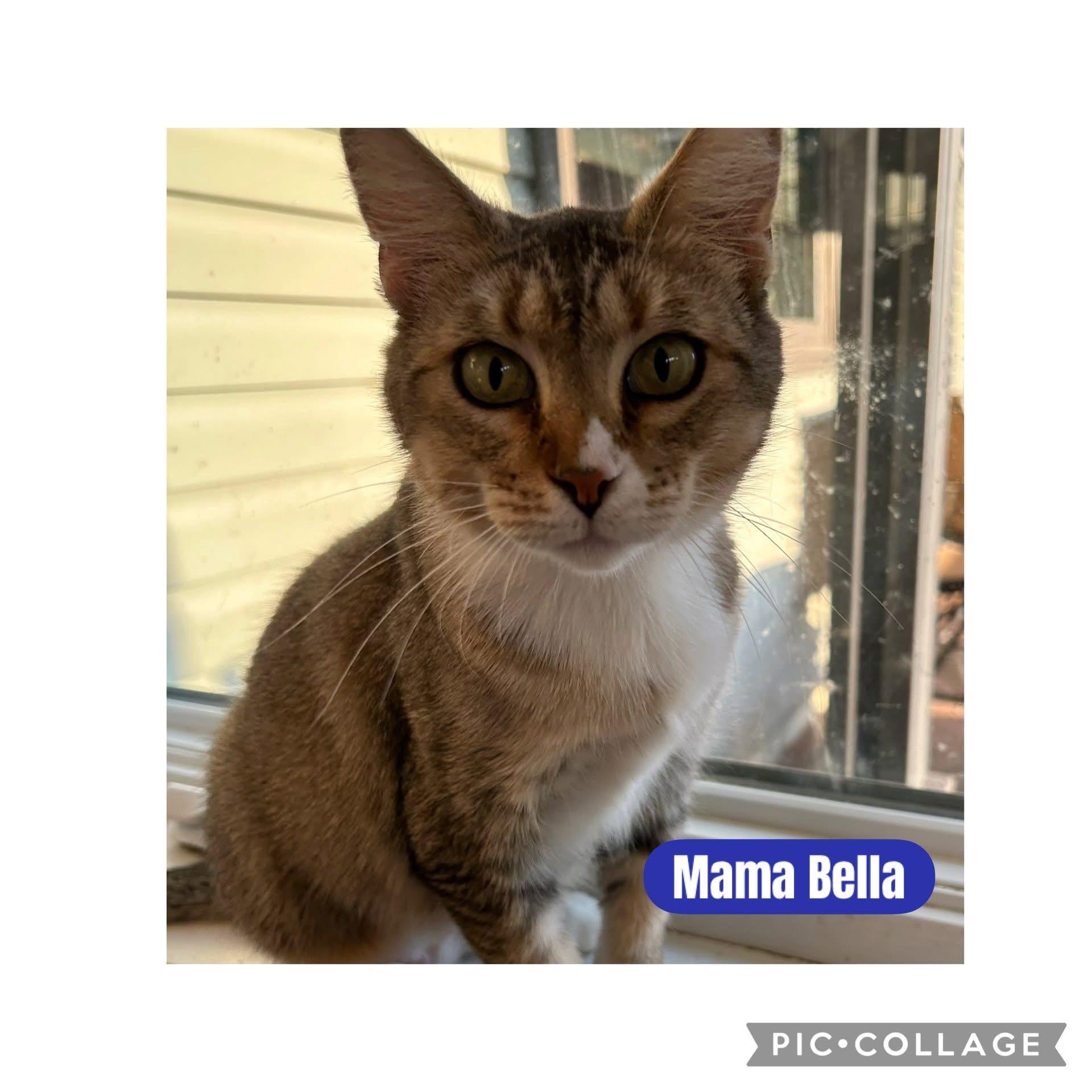 Mama Bella