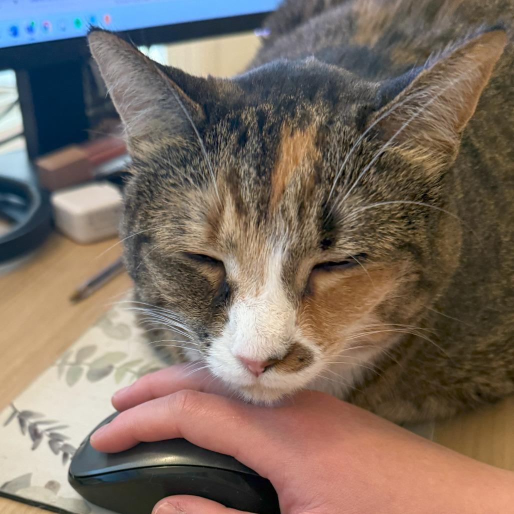 Miranda — thumbnail 4