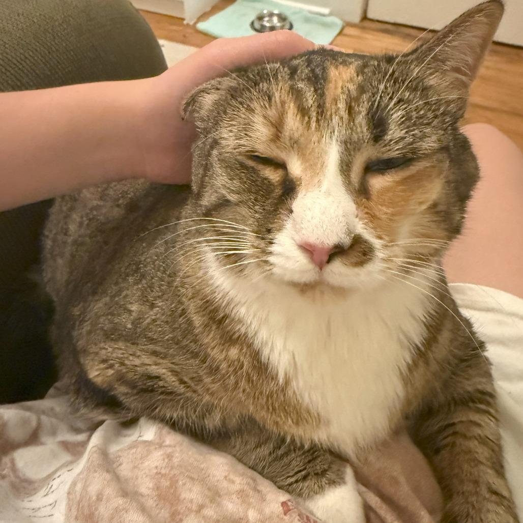 Miranda — thumbnail 5