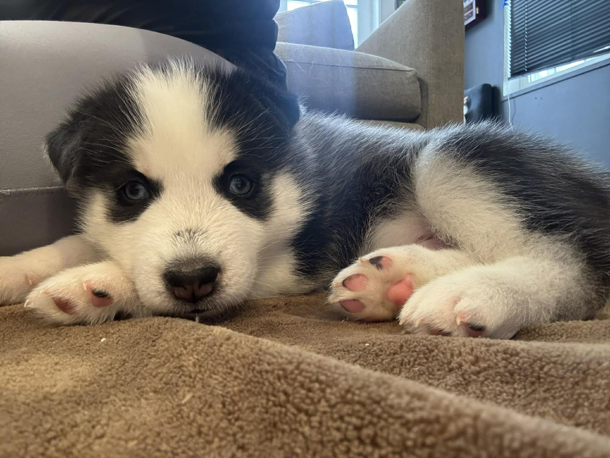 Ford — thumbnail 2