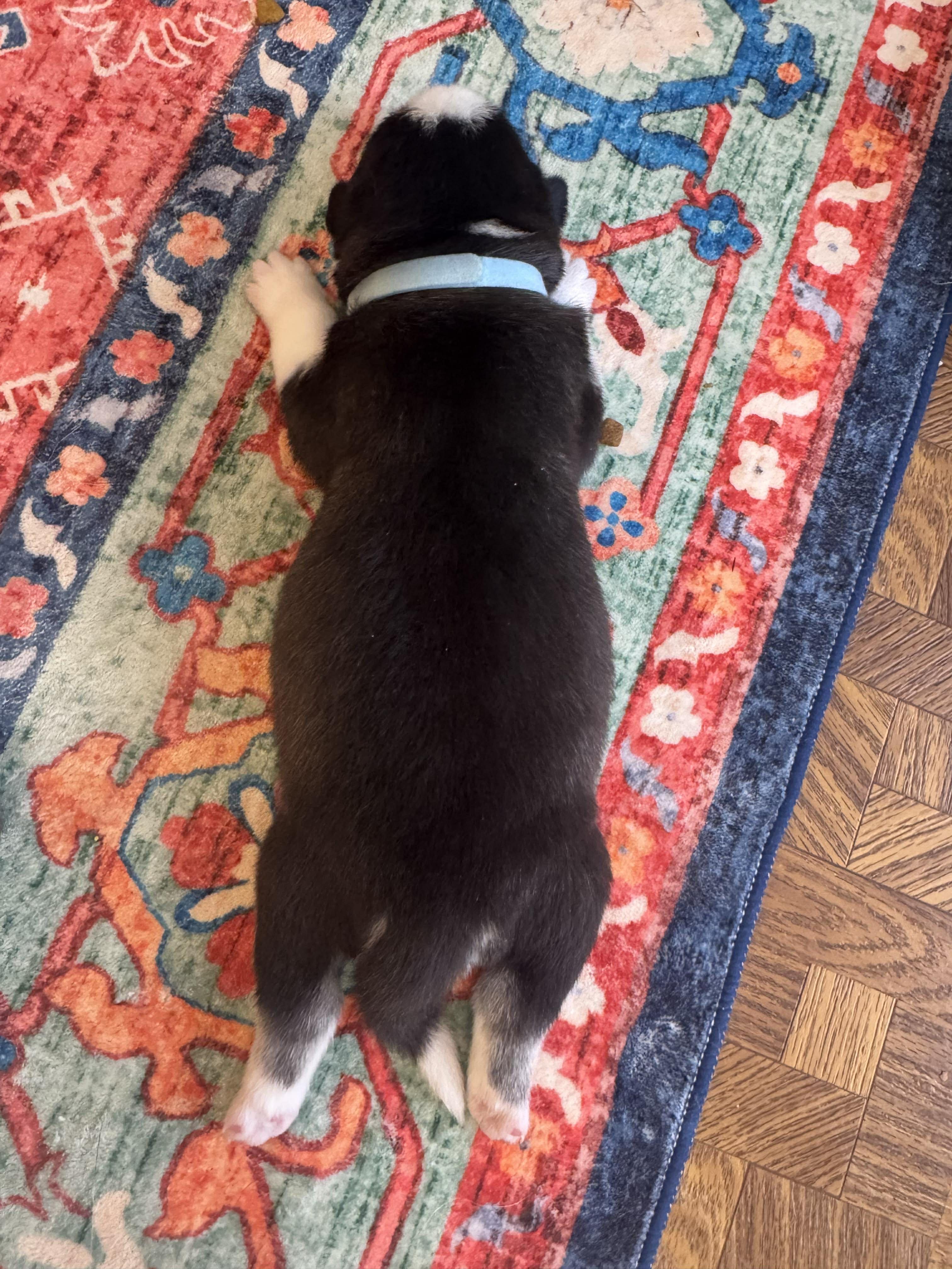 Ford — thumbnail 3