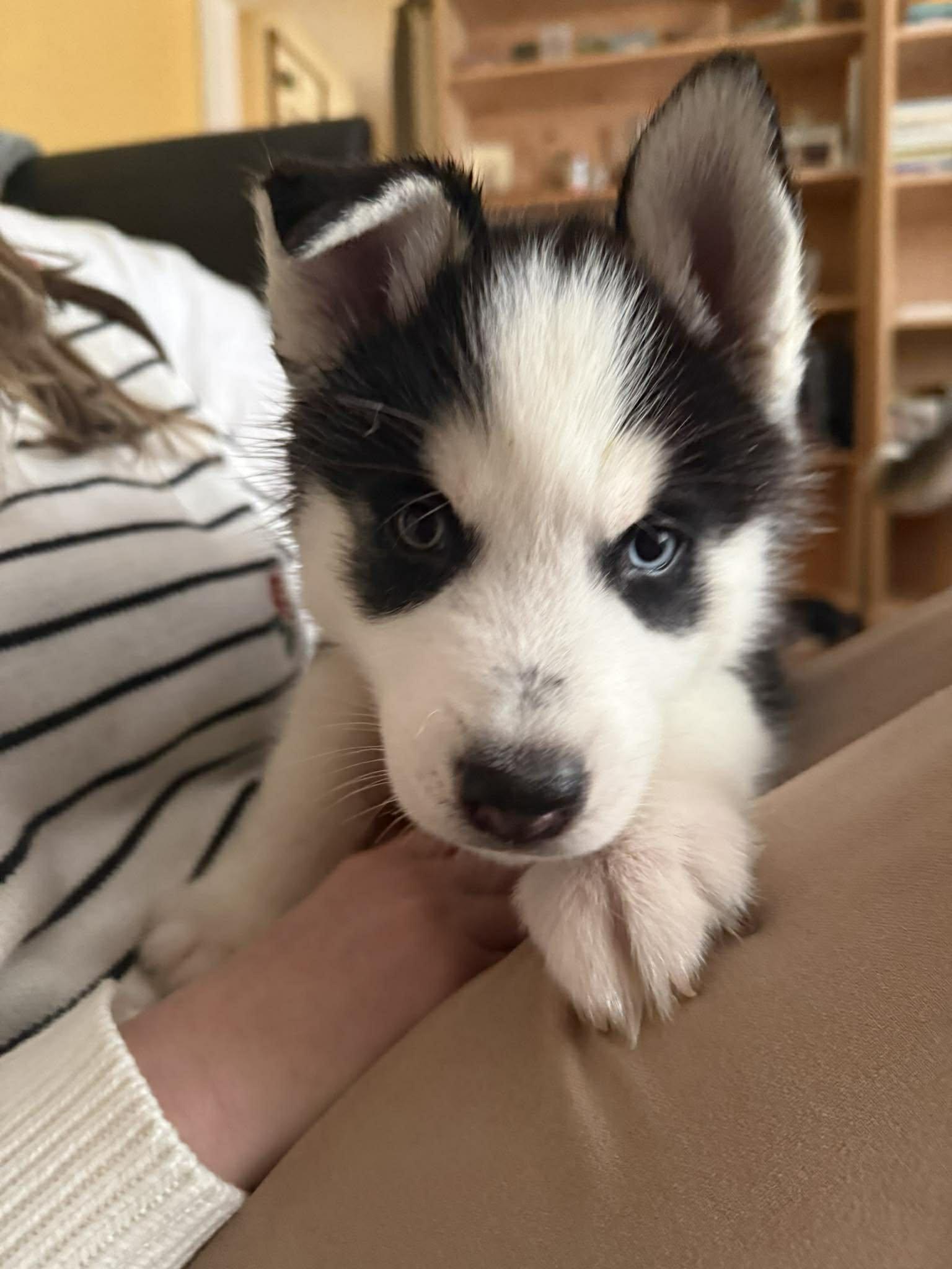 Ford — thumbnail 4