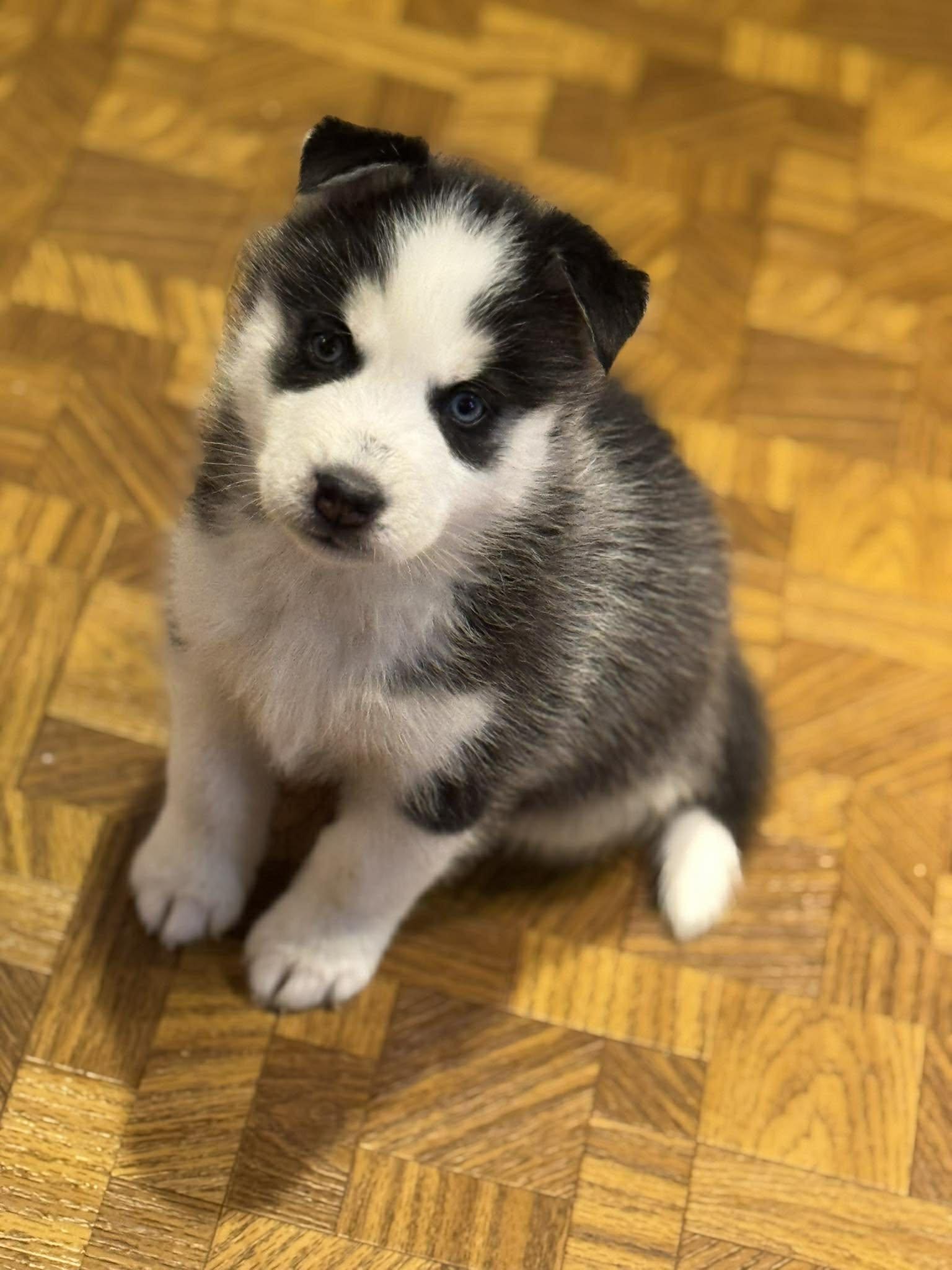 Ford — thumbnail 5