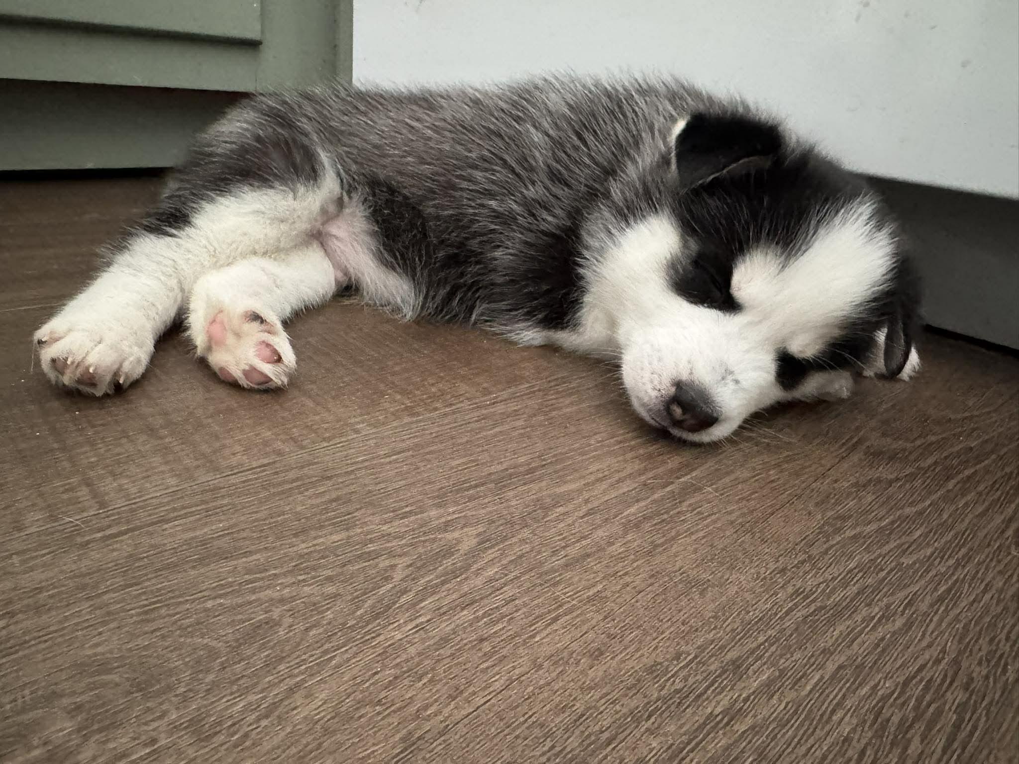 Ford — thumbnail 6