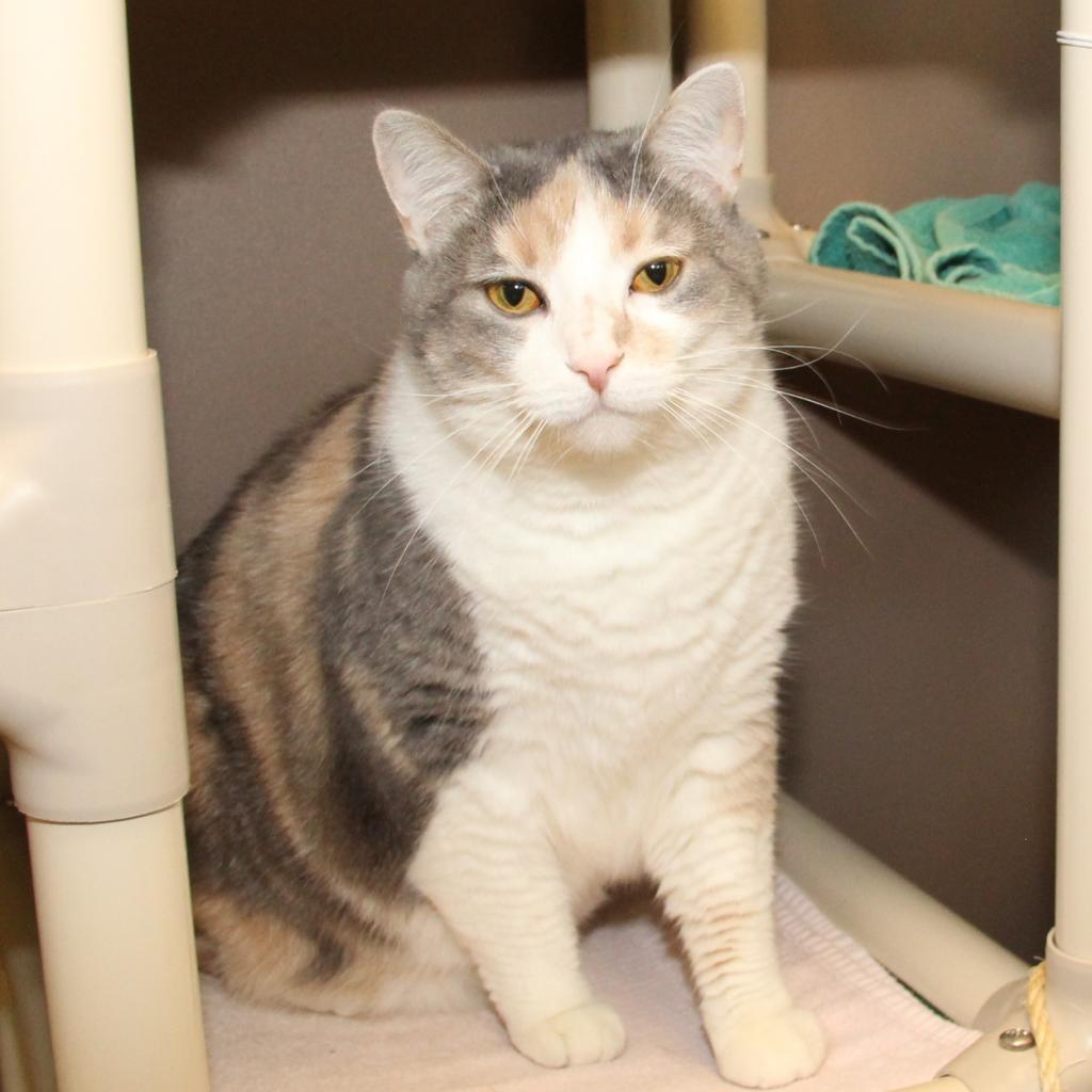 Baby — thumbnail 2