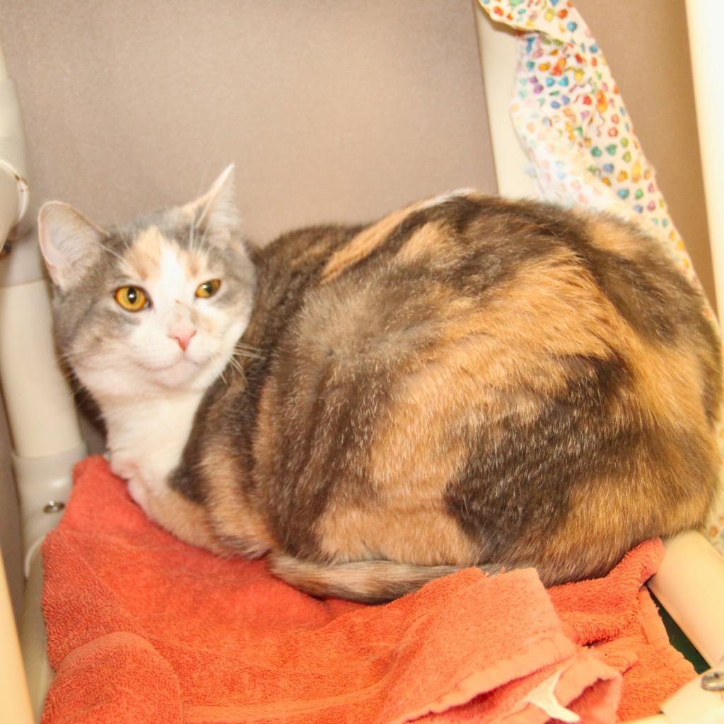 Baby — thumbnail 3