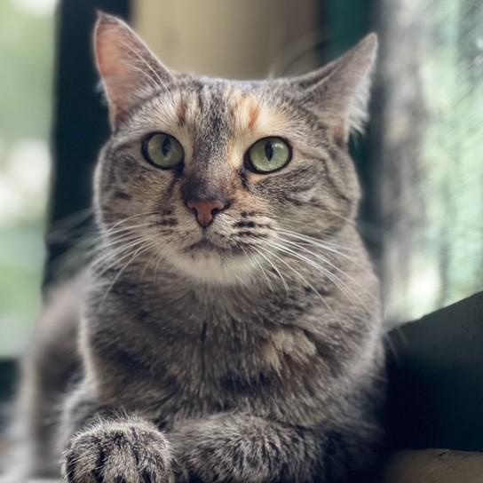 Sophie