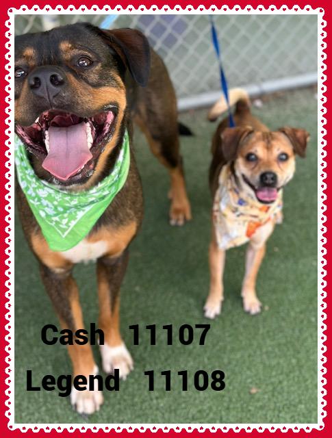 CASH(also see LEGEND)