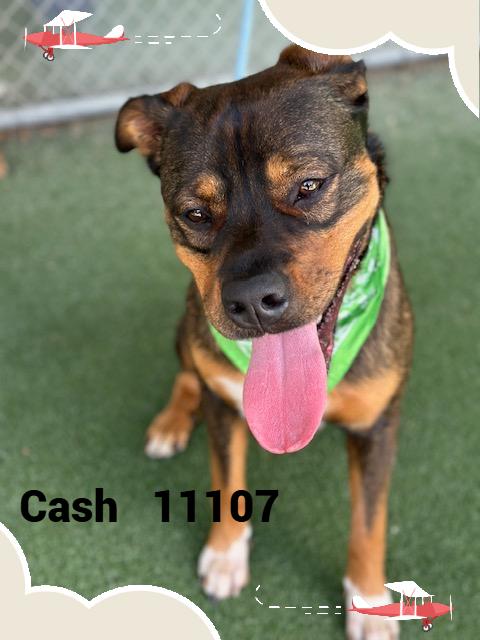 CASH(also see LEGEND)