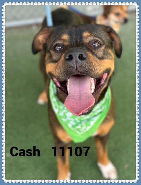 CASH(also see LEGEND)