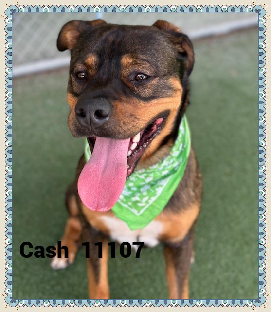CASH(also see LEGEND)
