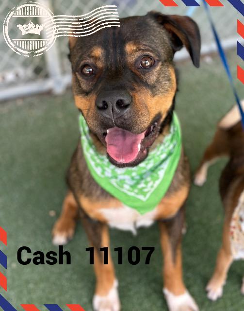 CASH(also see LEGEND)