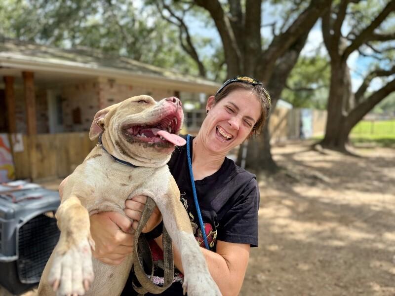 Charlie the Sunshine Sidekick — thumbnail 5