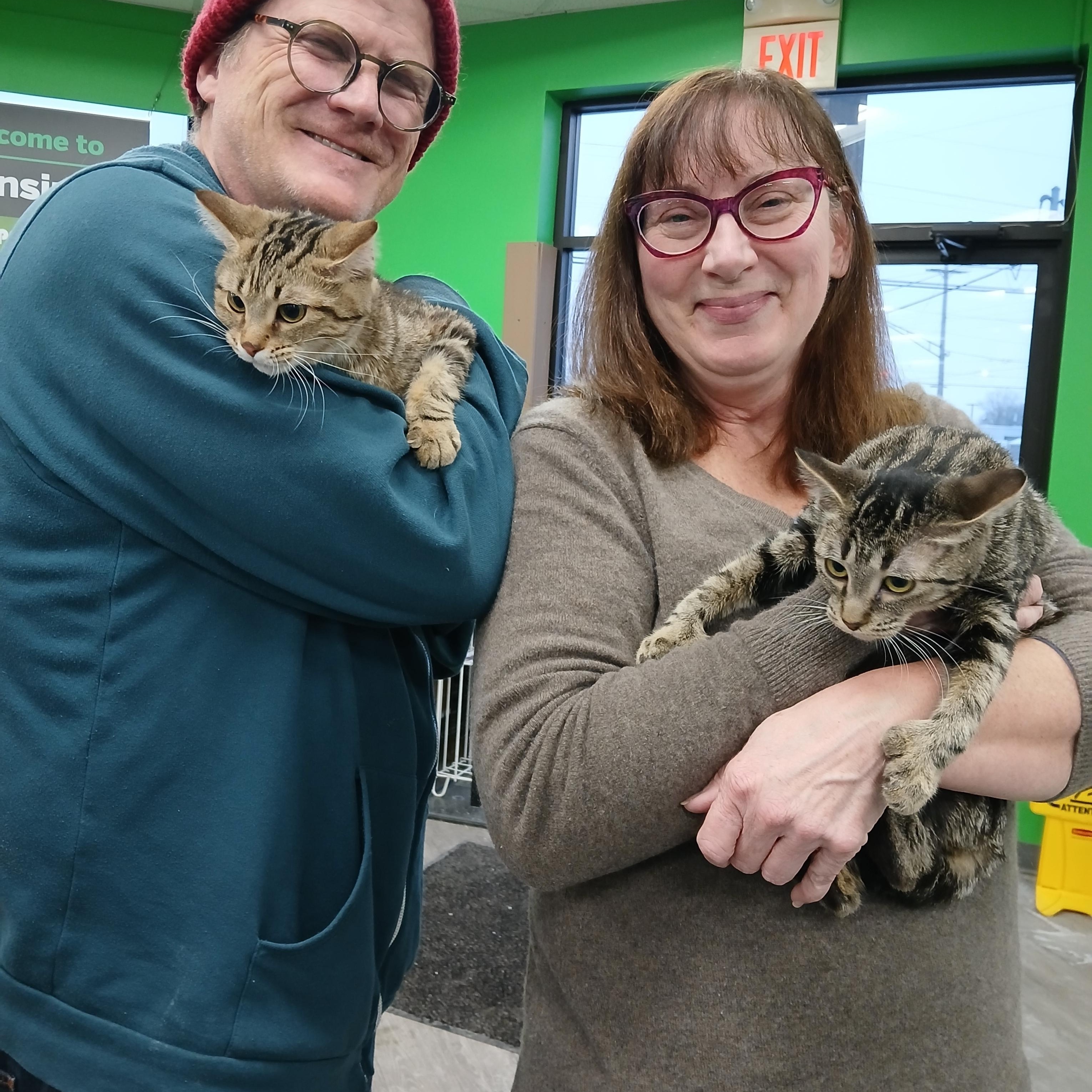 Springport Spumoni , an adopted mixed breed in Eaton Rapids, MI image 5/5