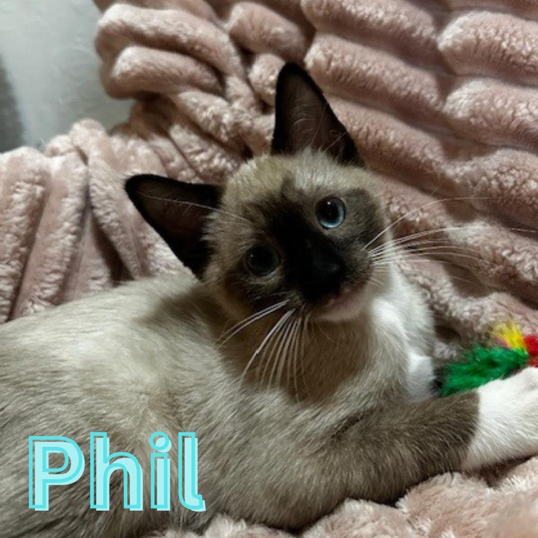 Phil