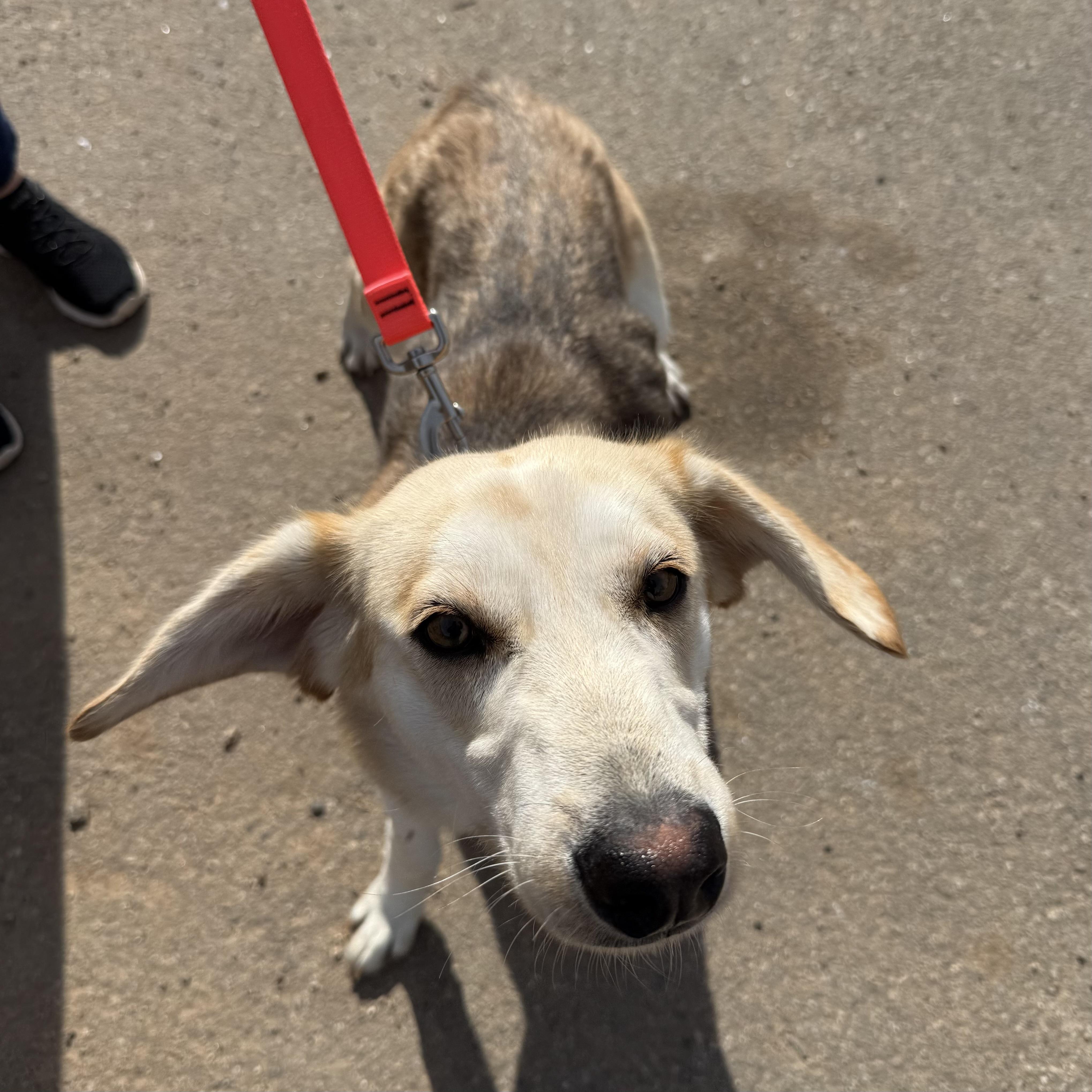 Marty — thumbnail 2