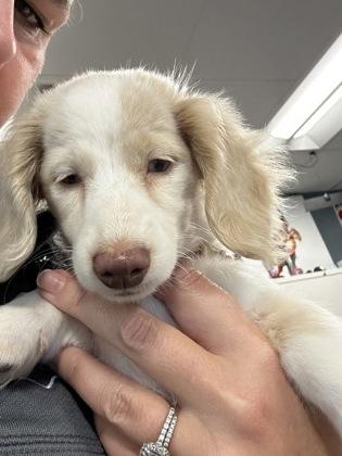 Penelope (In Foster Home)