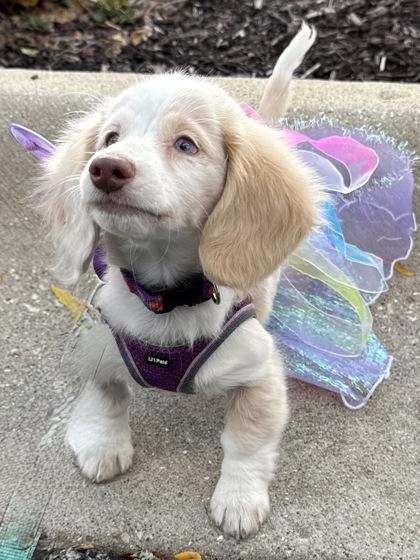 Penelope (In Foster Home)