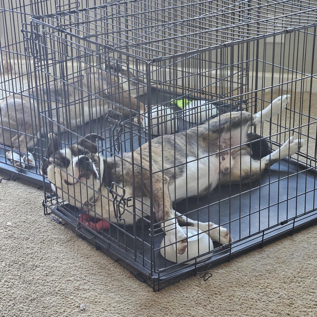 Mack — thumbnail 5