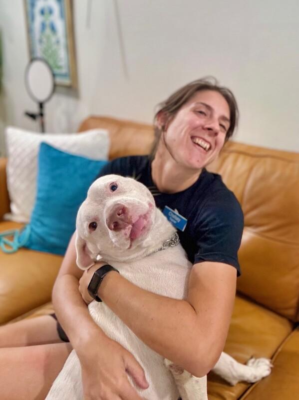 Leroy Lap lovin Brown — thumbnail 5