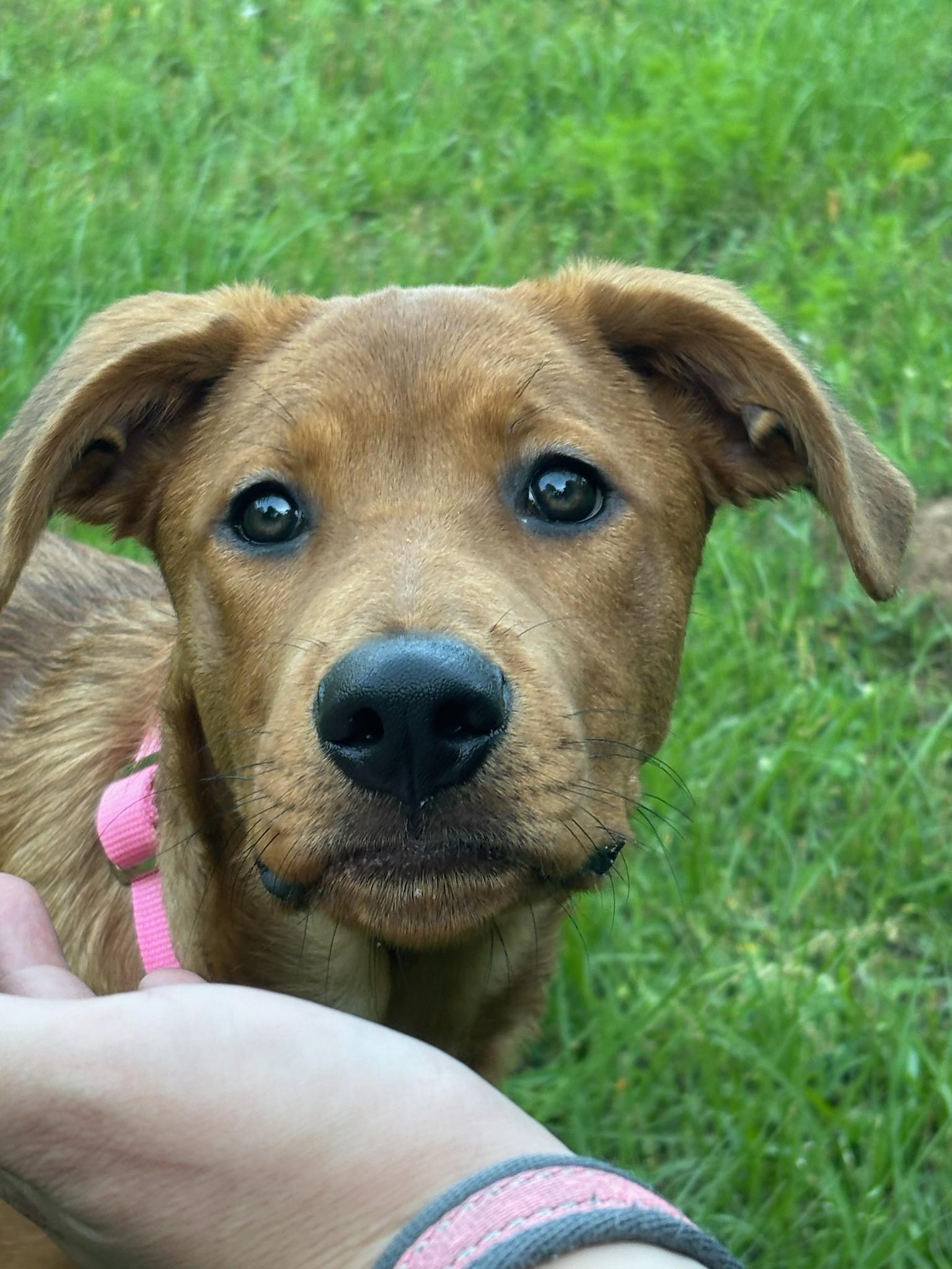 Cheddar photo 2