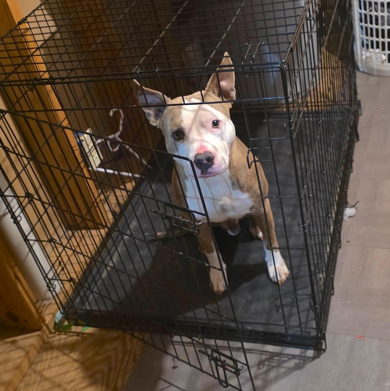 Chaos — thumbnail 2