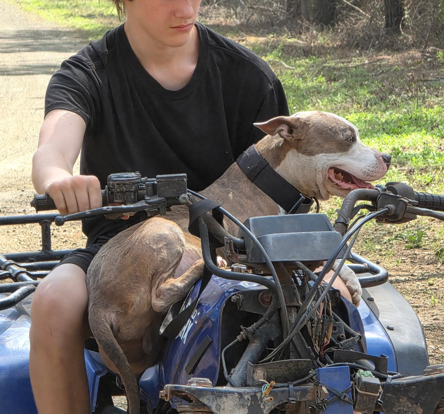 Chaos — thumbnail 4