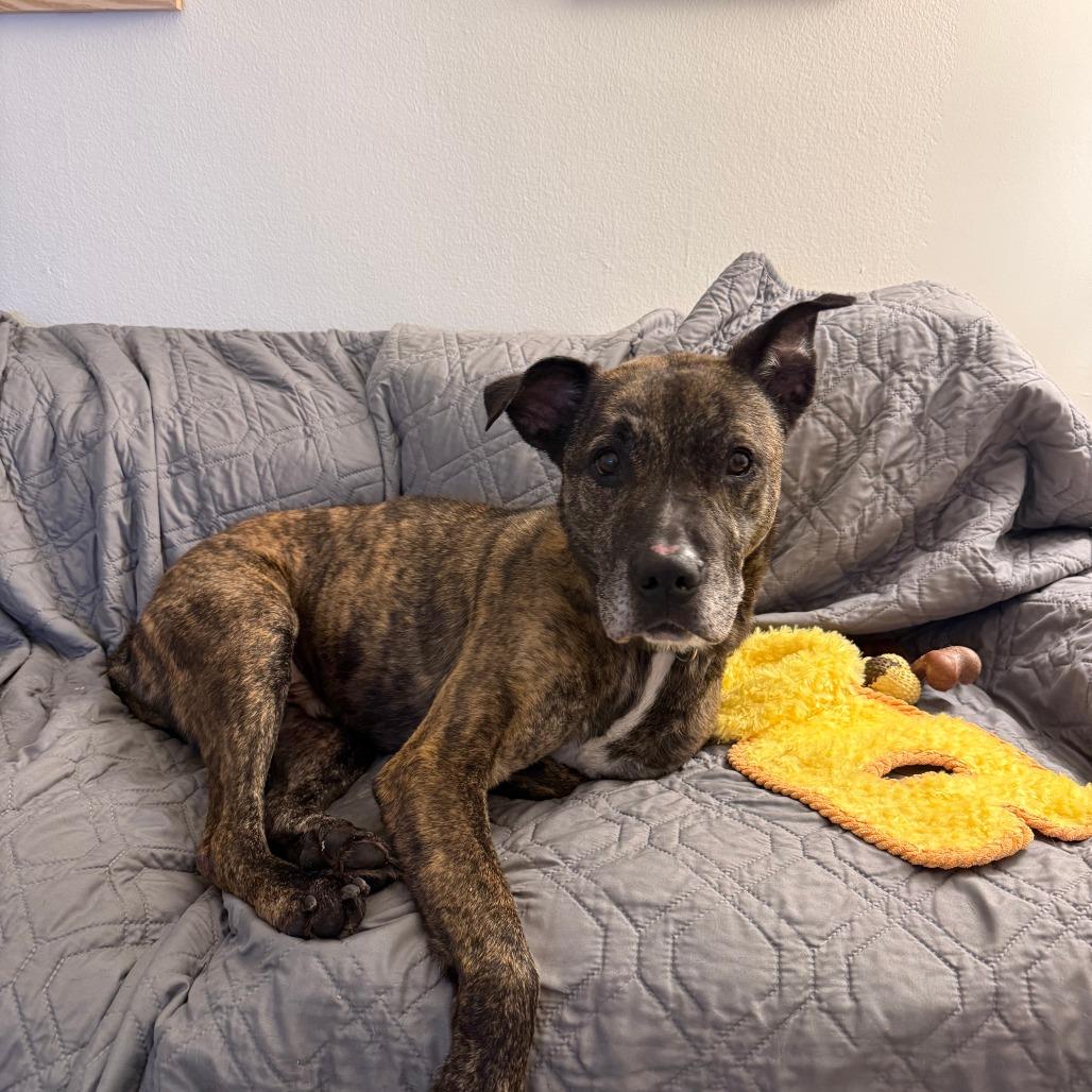 Harry — thumbnail 6