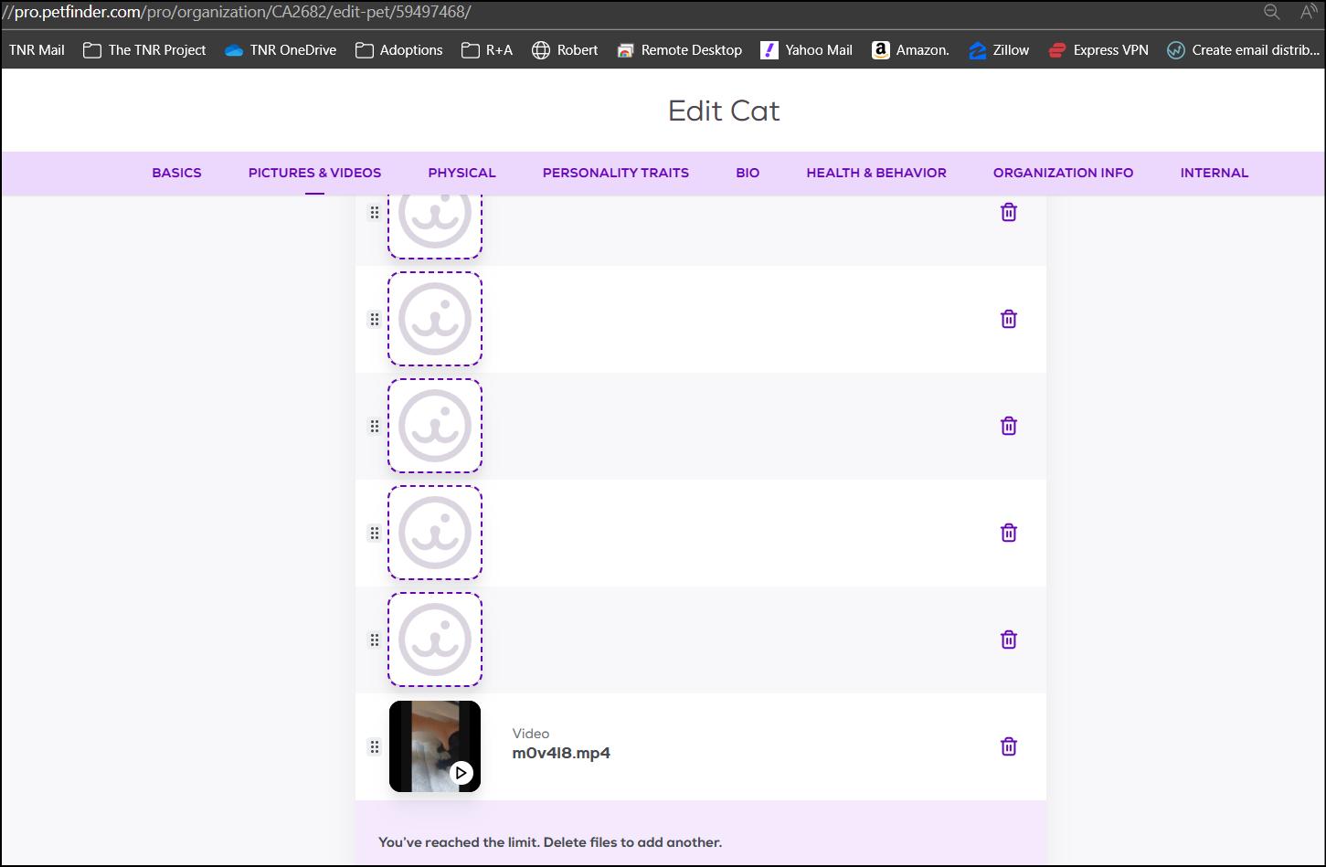 Enlarge Stud (ADOPTED!), a Adopted mixed breed in Monrovia, CA image 2/4