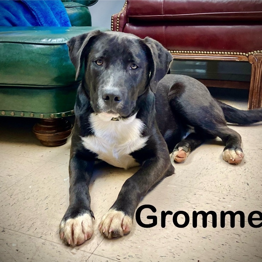 Gromett 2