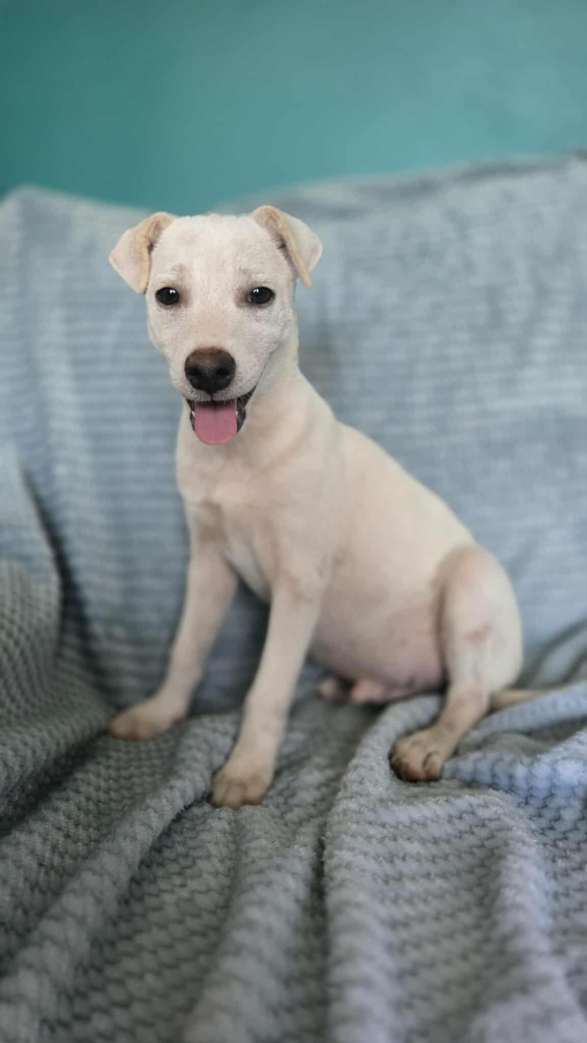 Boo!