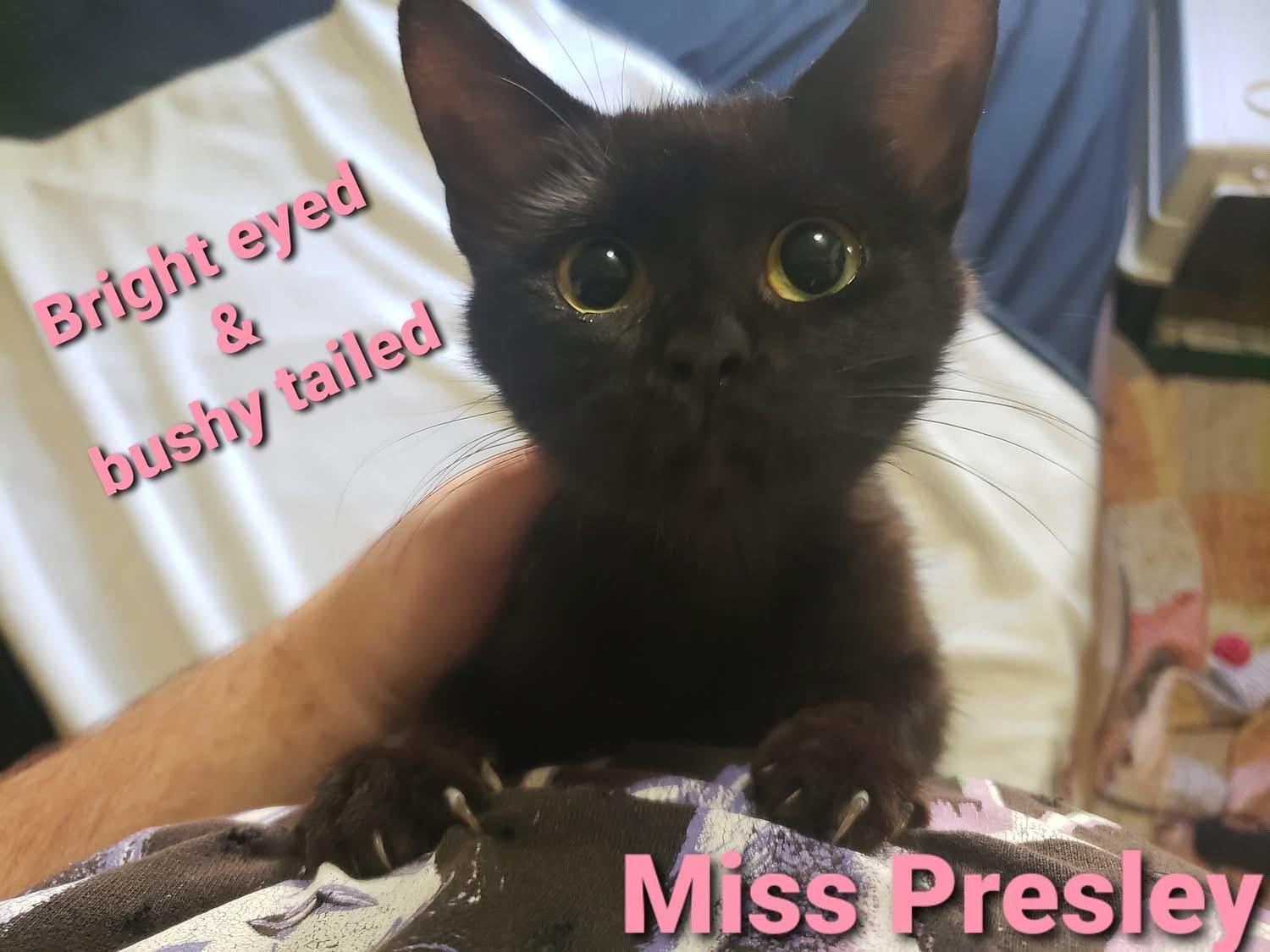 Presley
