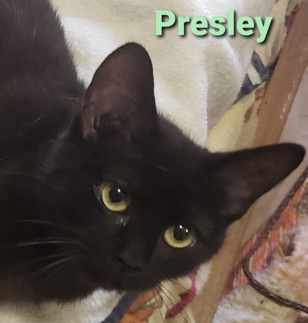 Presley