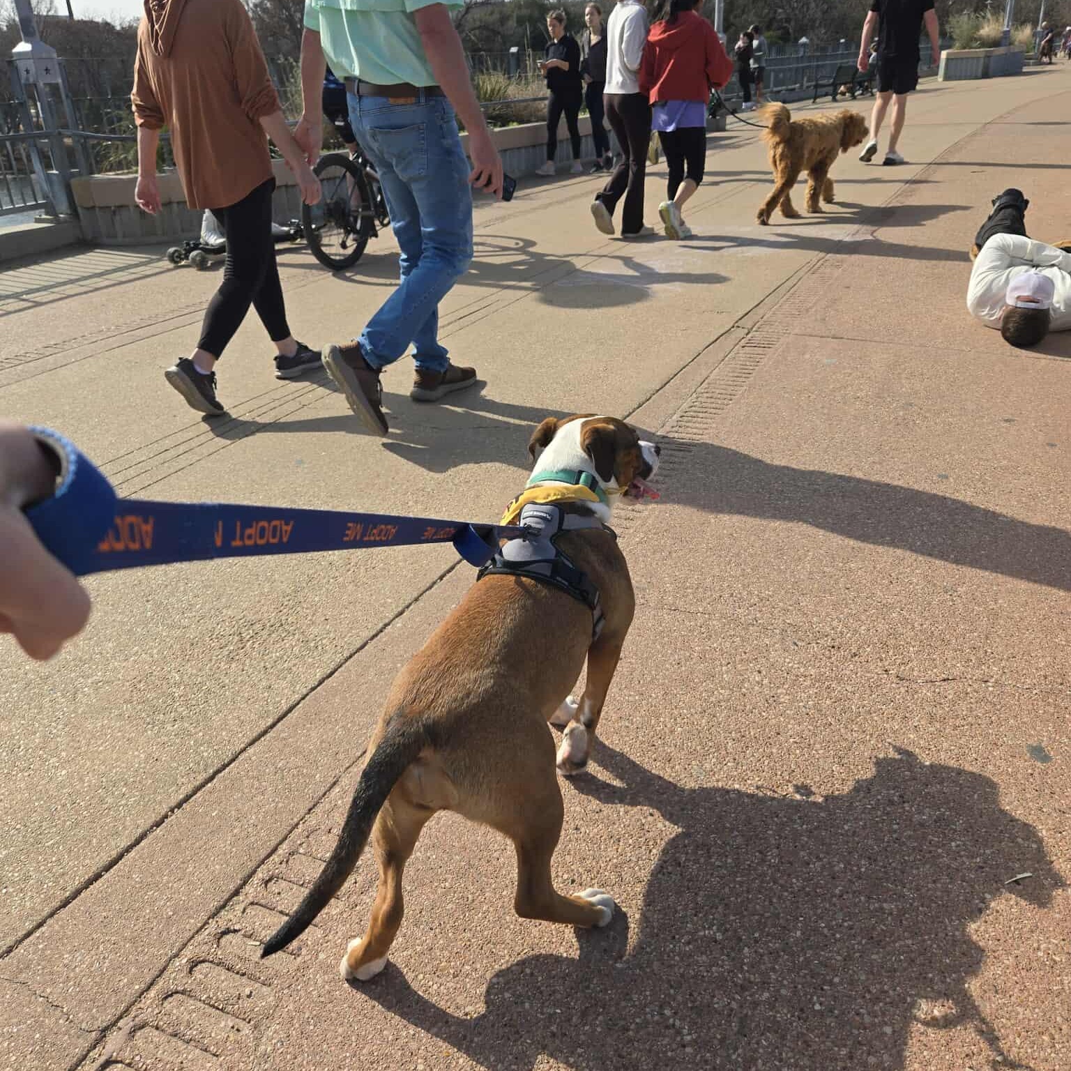 Nona — thumbnail 3