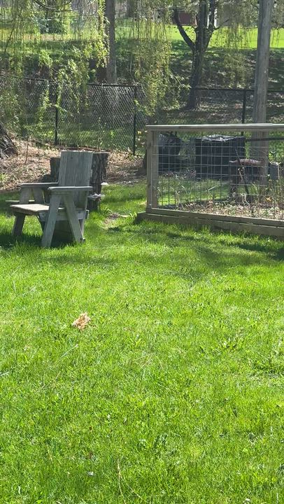 Enlarge Andrew, a ADOPTABLE Doberman Pinscher in St. Paul, MN video 4/6