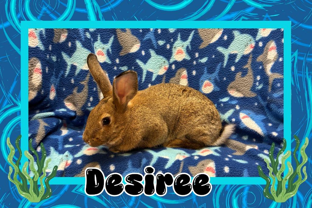 Desireé photo