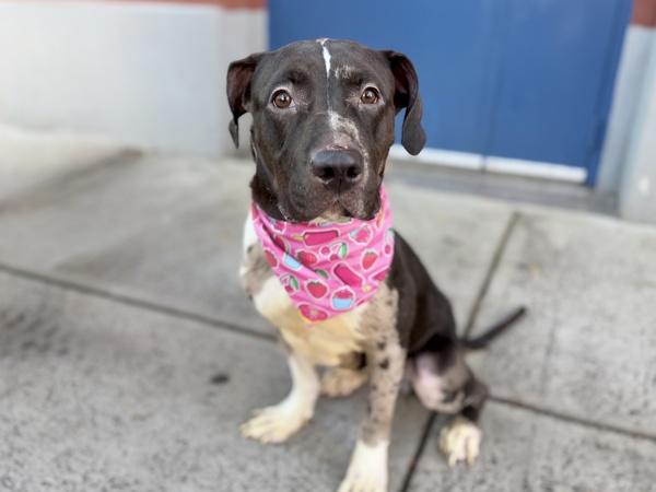 One Bunzy thumbnail 2